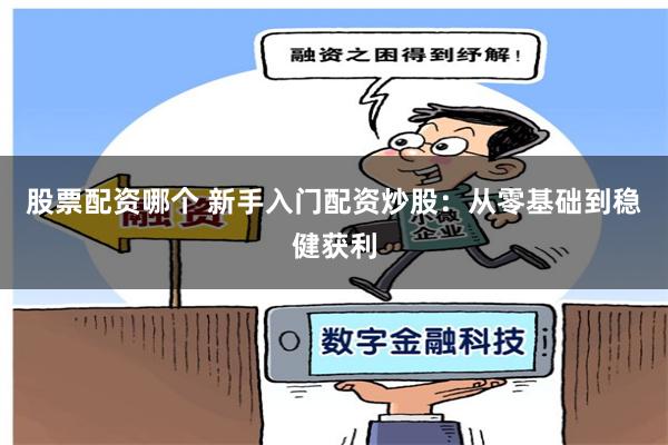 股票配资哪个 新手入门配资炒股：从零基础到稳健获利